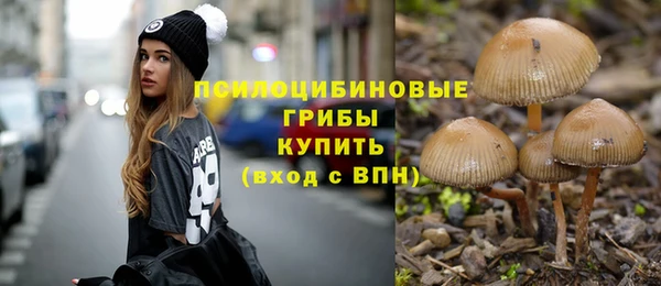 ALPHA-PVP Верхний Тагил