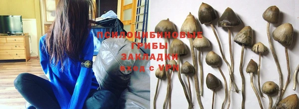 тгк Волосово