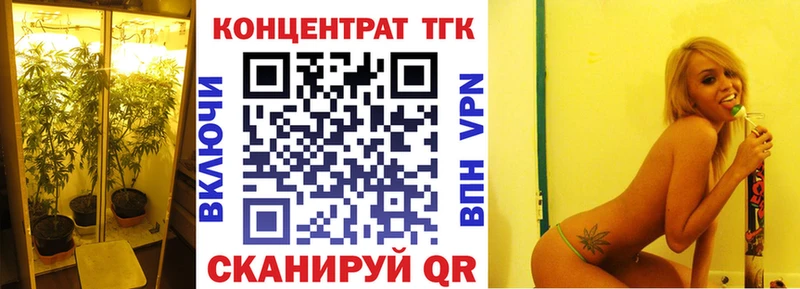 закладка  Каменка  ТГК Wax 