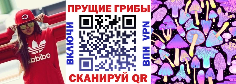 Псилоцибиновые грибы GOLDEN TEACHER  дарнет шоп  Каменка 